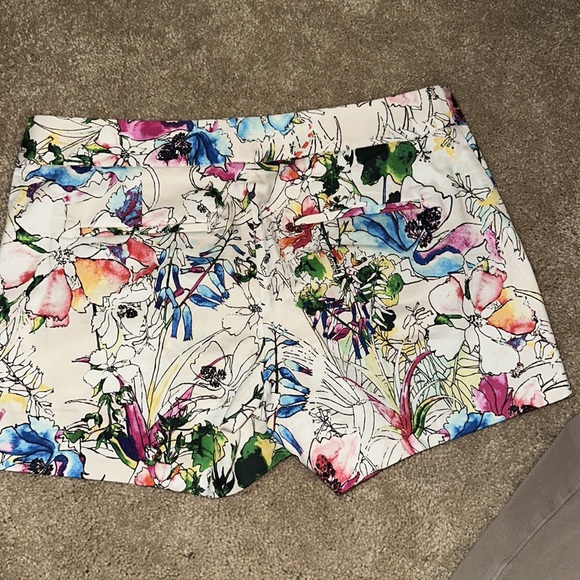 Express Size 4 Dressy Shorts with side zip and pockets. - Picture 2 of 4